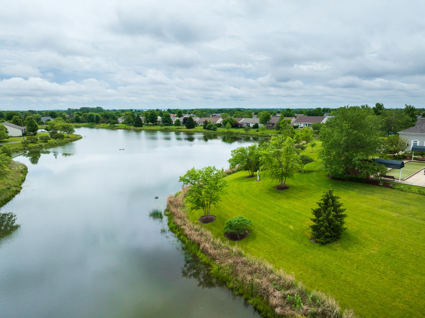 maintained pond in the middle of a Chicago HOA