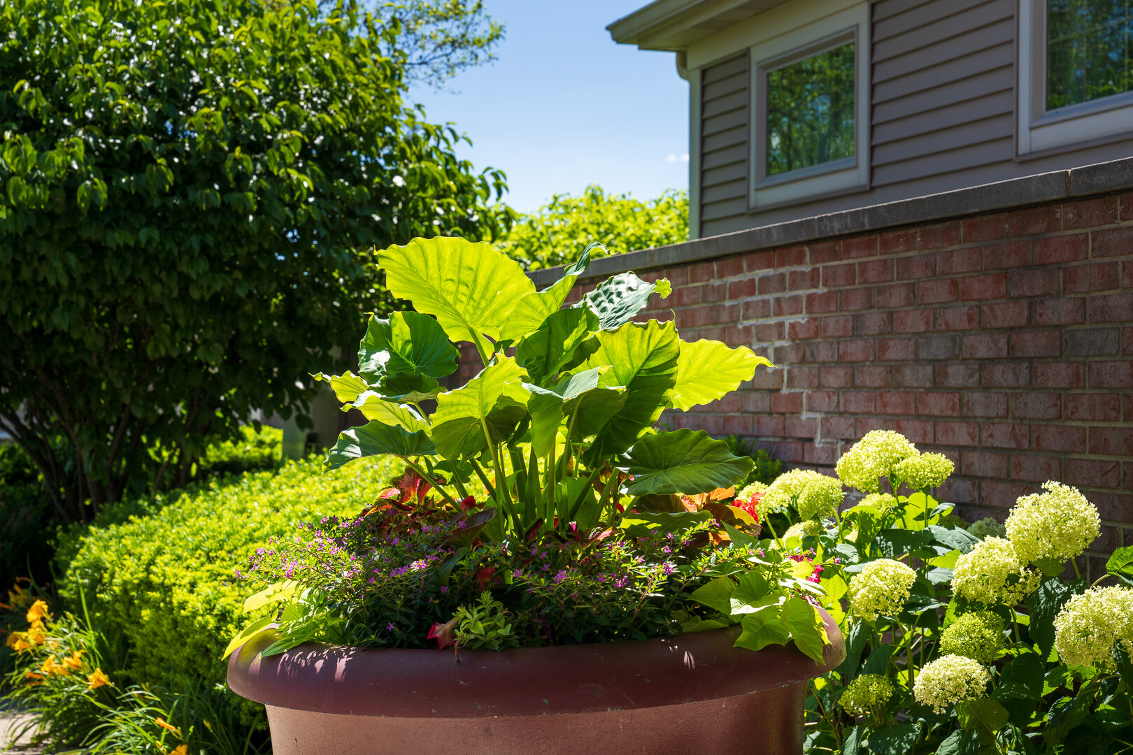 How to Stretch Your Landscaping Budget with Smart Commercial Enhancements