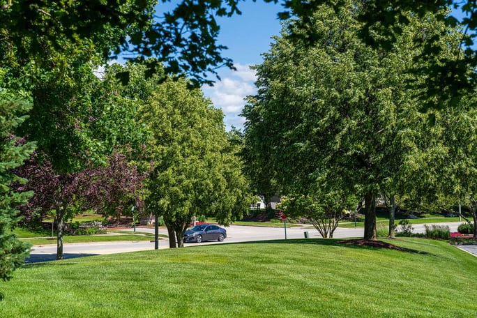 commercial HOA lawn space and large trees