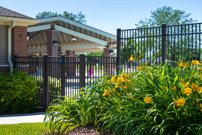 landscape planting bed near the entrance of an HOA pool