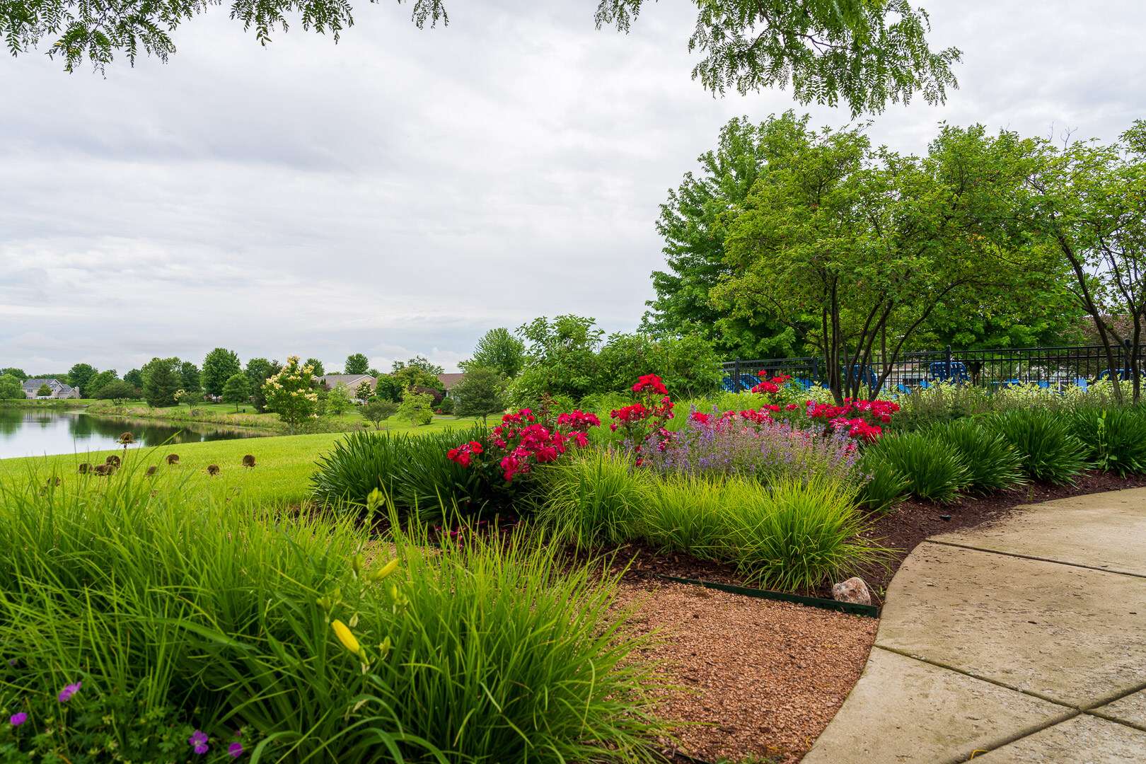 commercial HOA planting bed with grasses shrubs lawn concrete patio