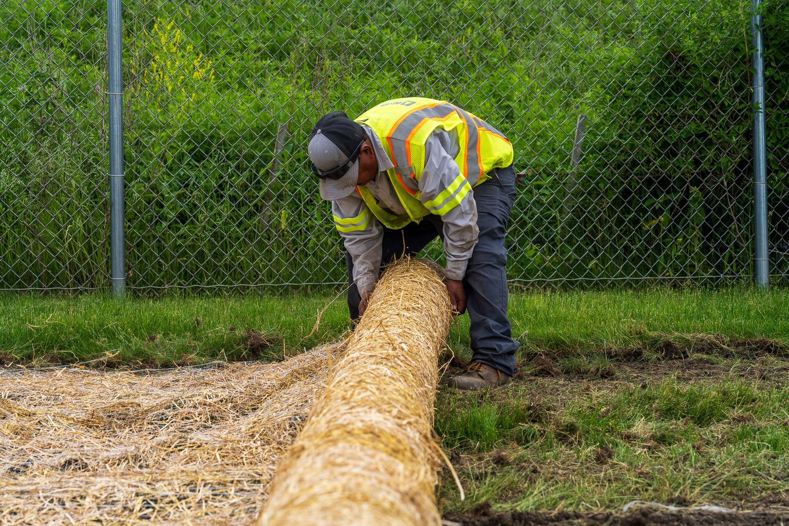 commercial maintenance crew installing lawn straw blanket to new seed