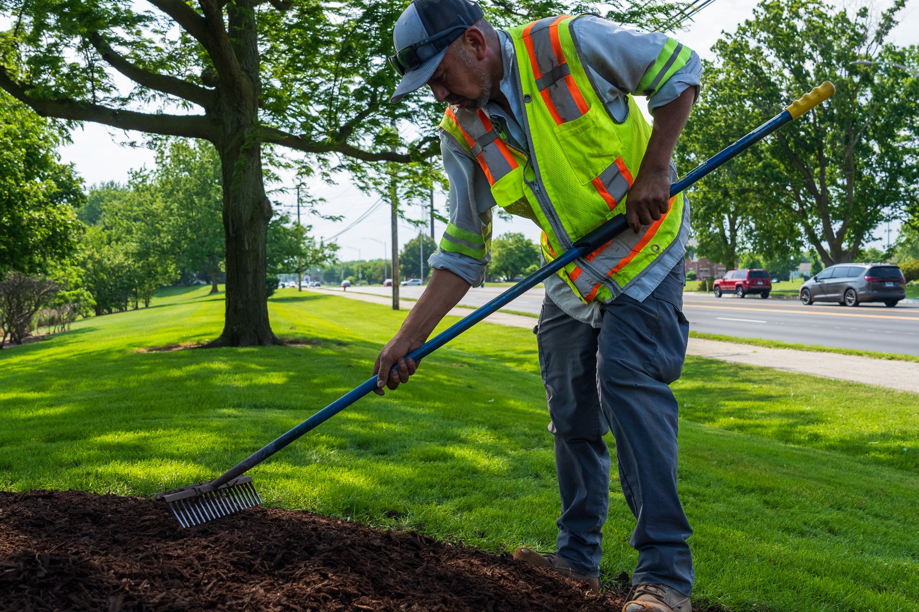 commercial enhancements crew stump grinding tree repairing mulch bed 28