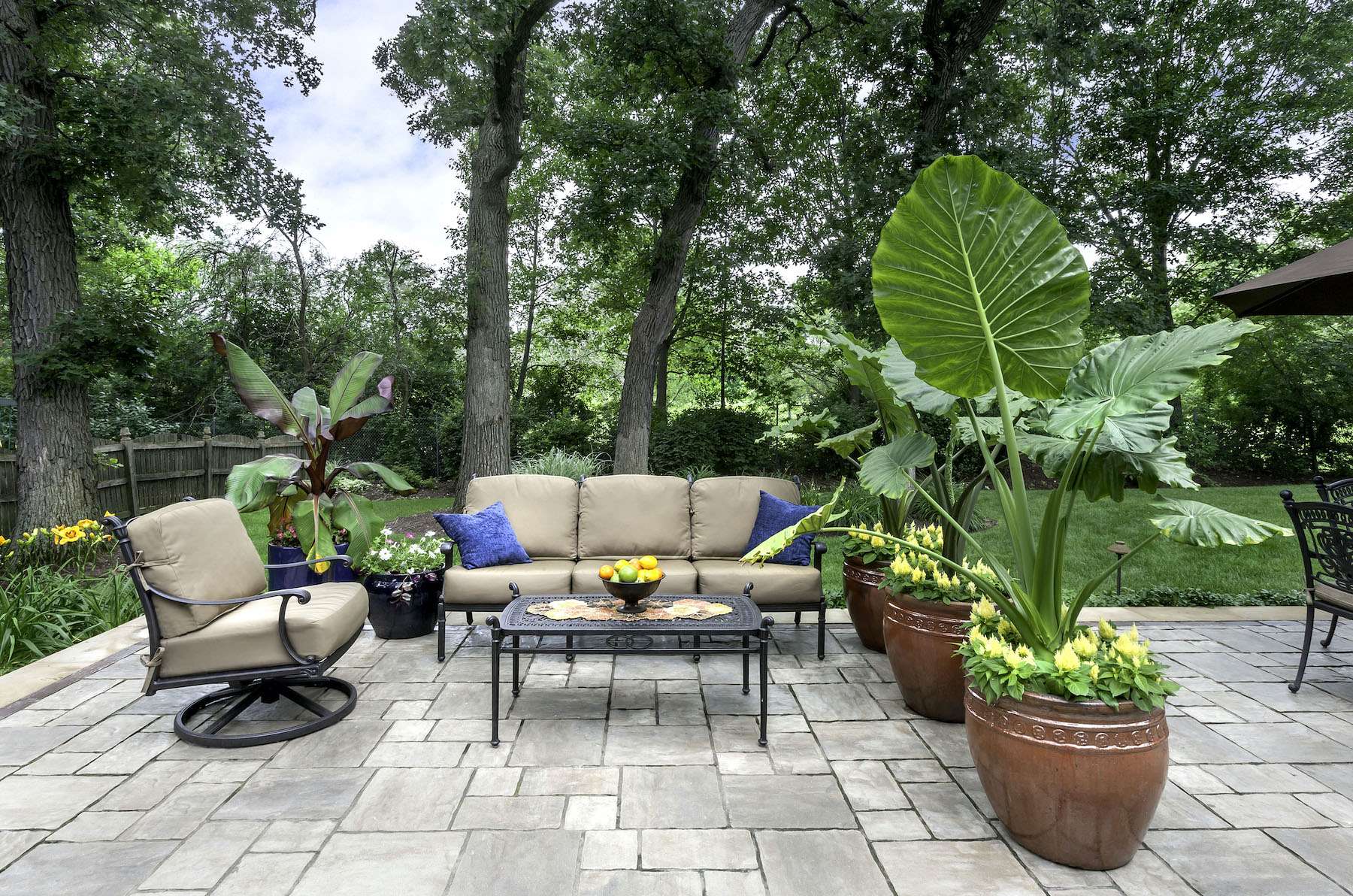 best plants for patio table