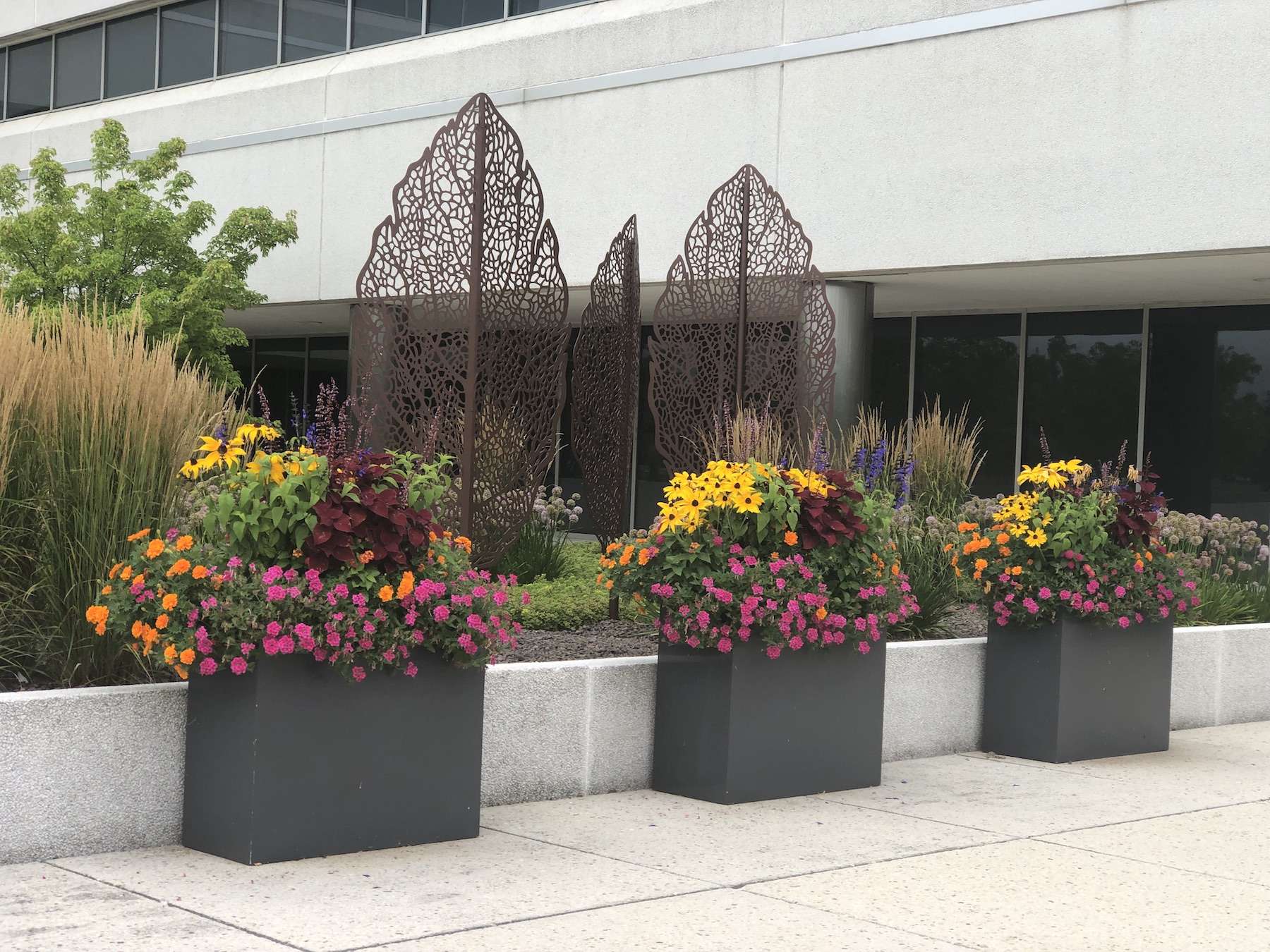 Outdoor potted plants with flowers