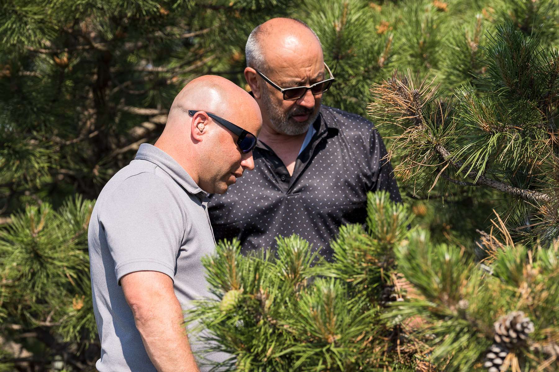 commercial landscape account manager and property manager inspection 2