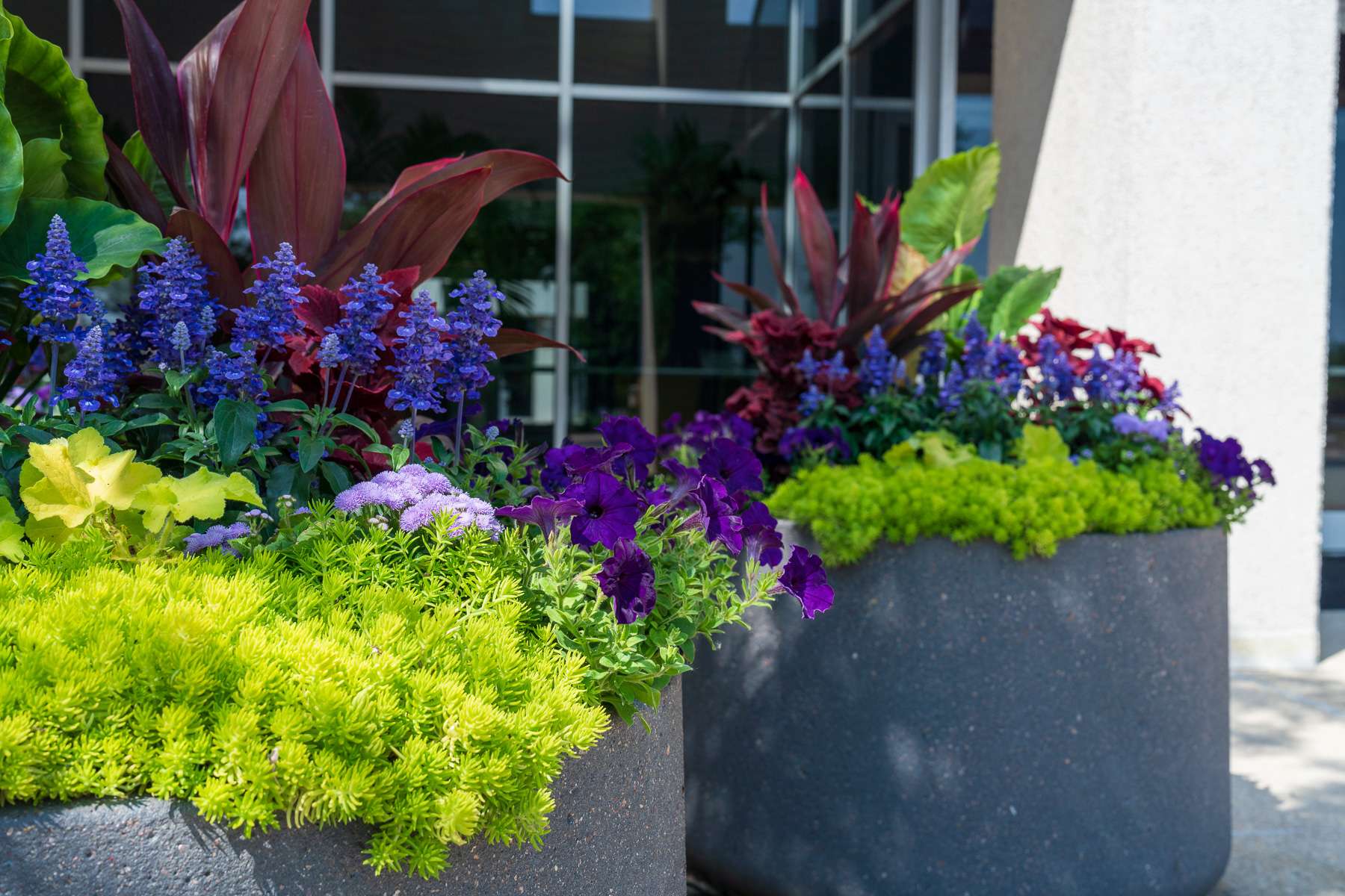 raised container planting beds with annuals at a commercial property entrance