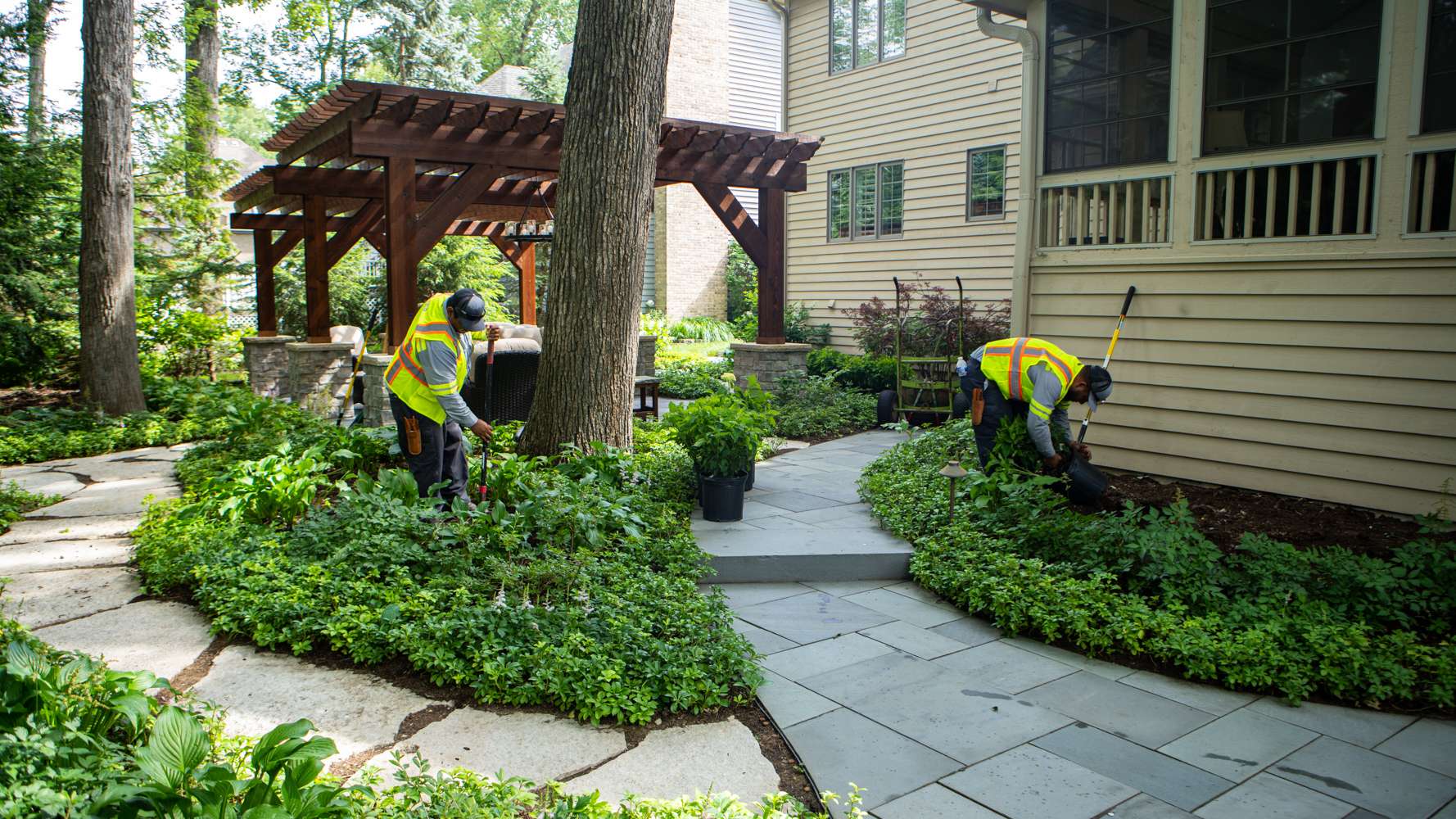 landscaping around walkway