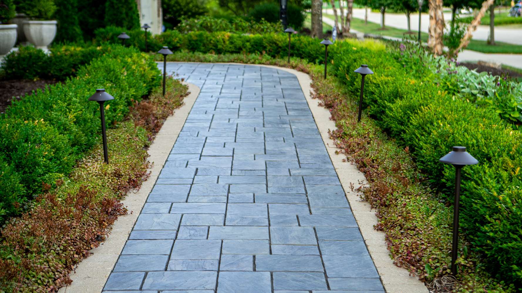 paver walkway with boxwood shrubs