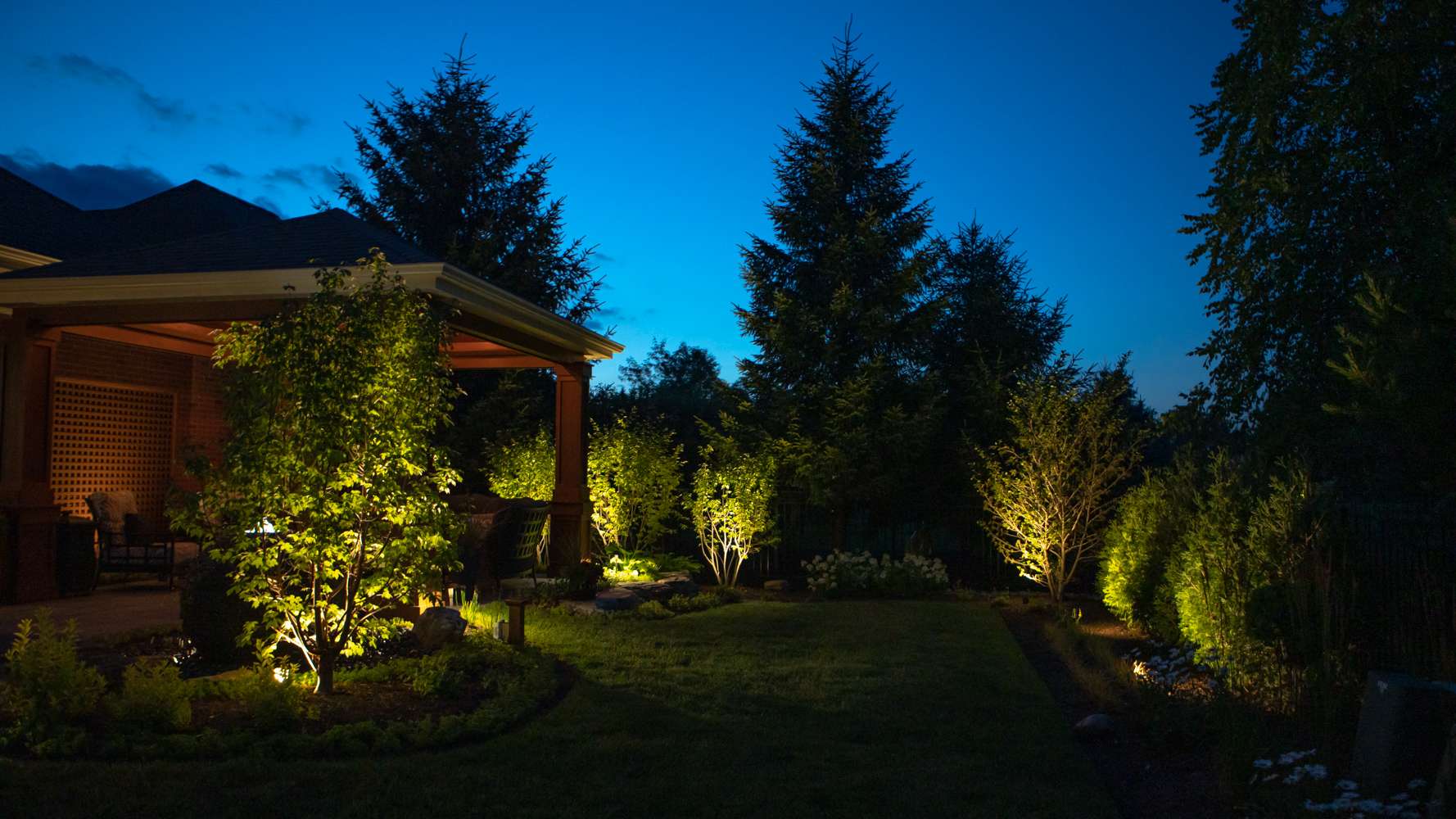 Backyard trees with landscape lighting