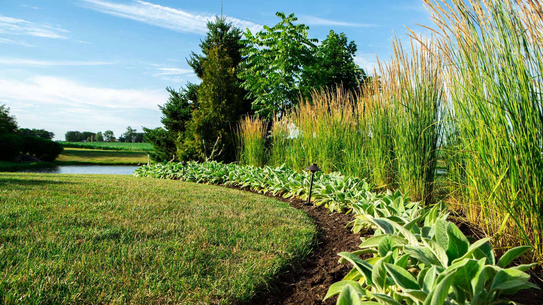 Landscape plant installation in Chicago