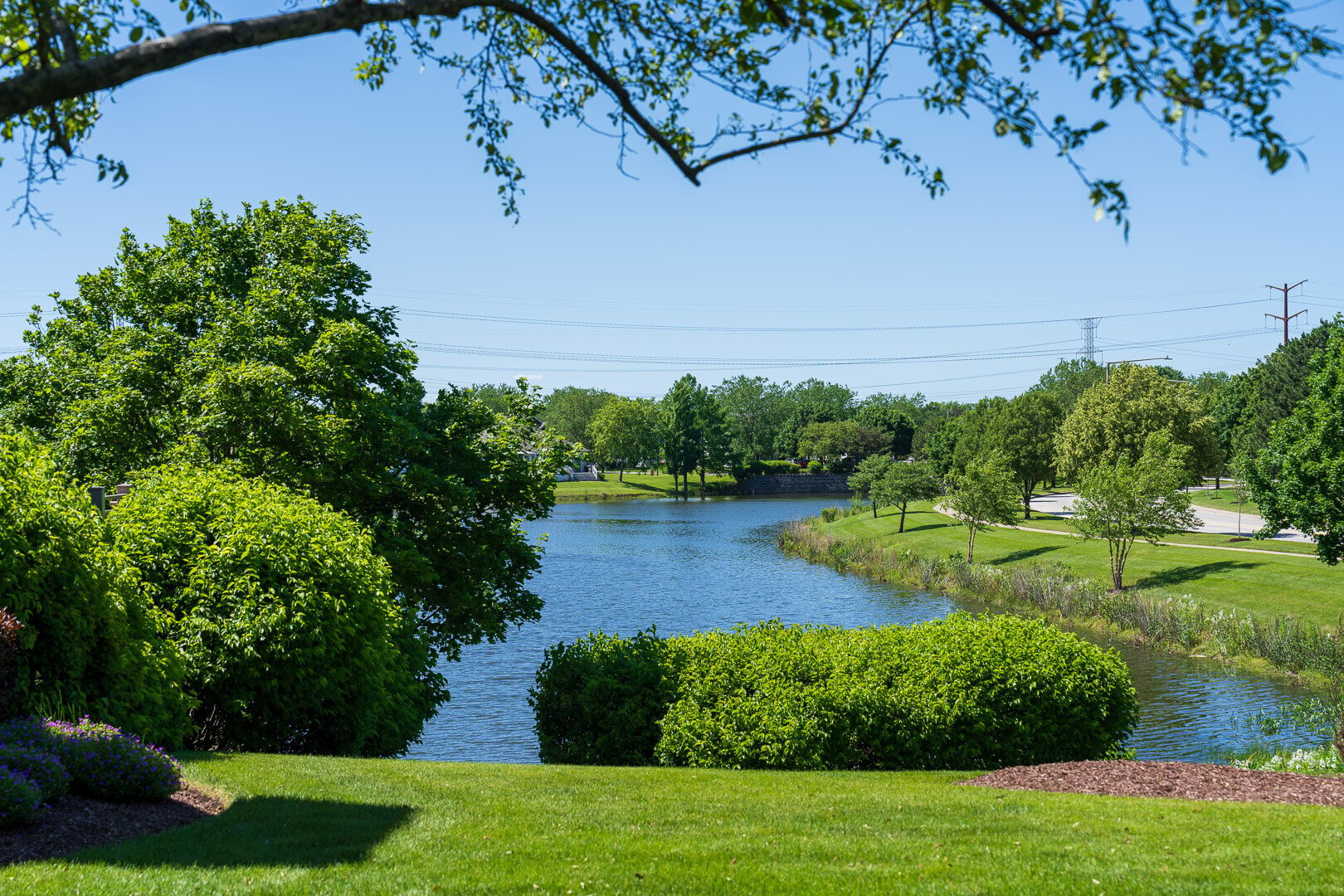 commercial HOA pond and lawn