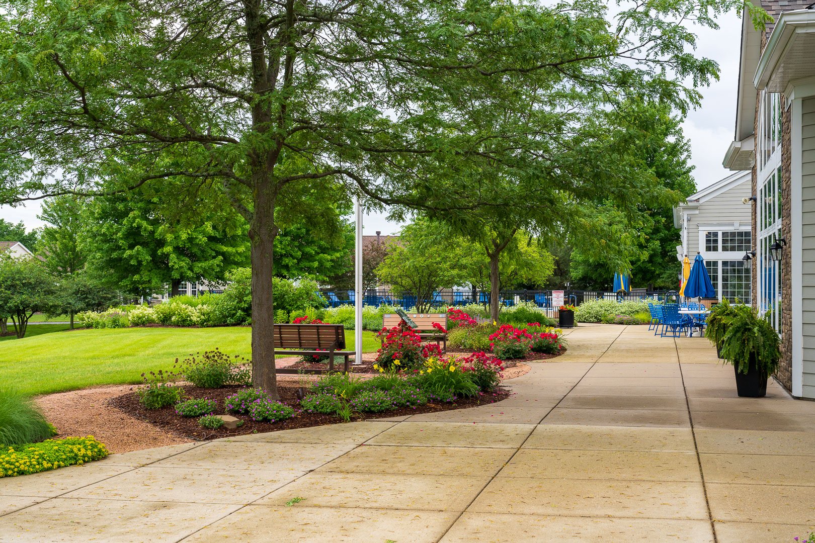 planting beds and shade trees in front of a chicago HOA common area