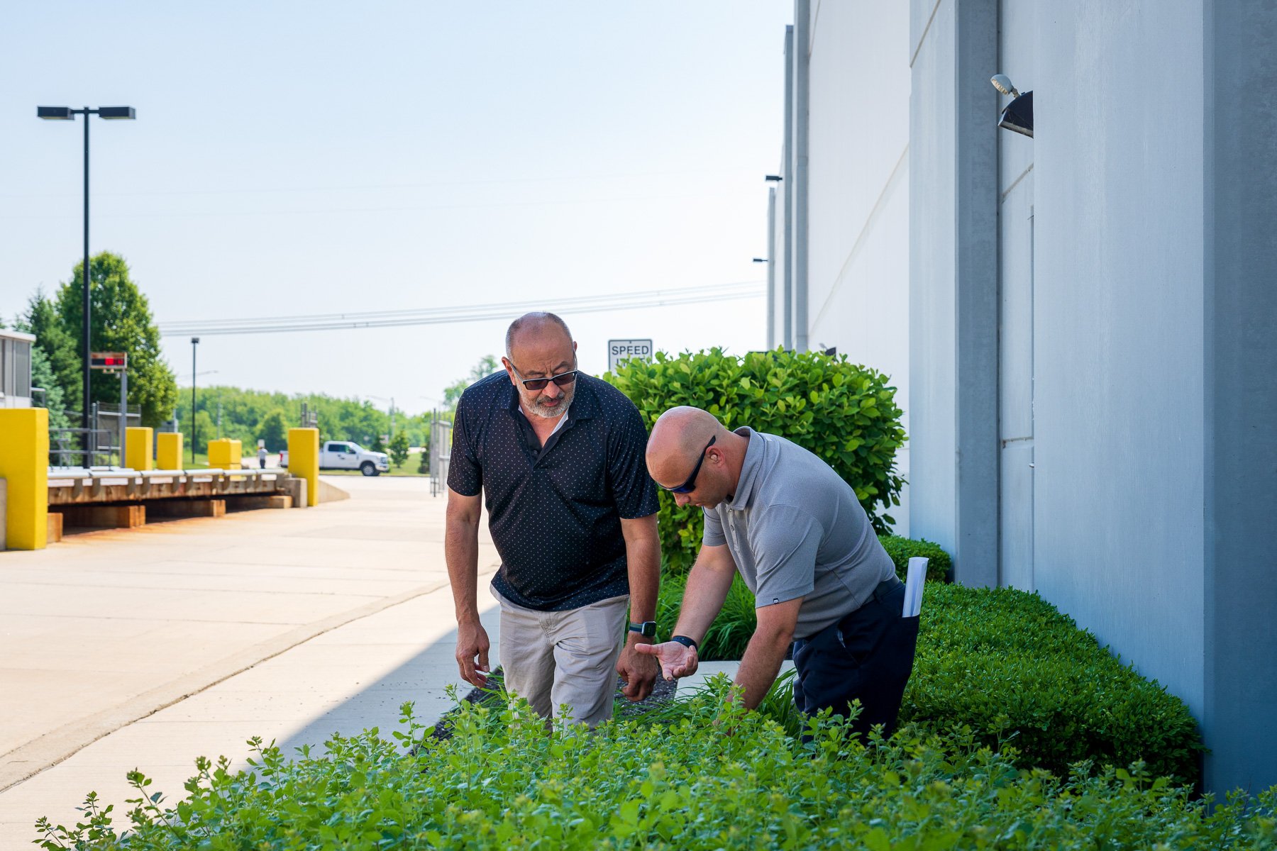 property manager and landscape account manager reviewing shrubs