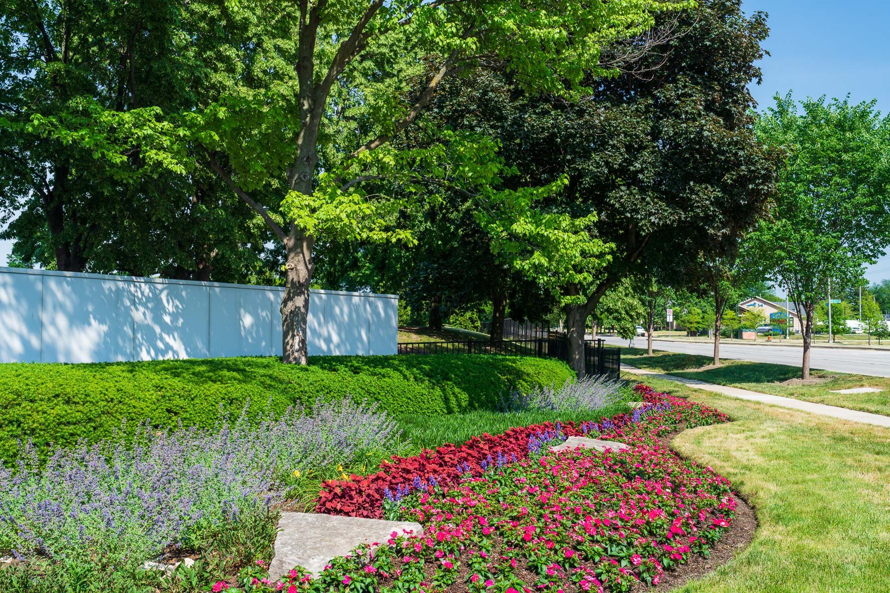 a commercial landscape planting bed with annuals, perennials, shrubs and shade trees