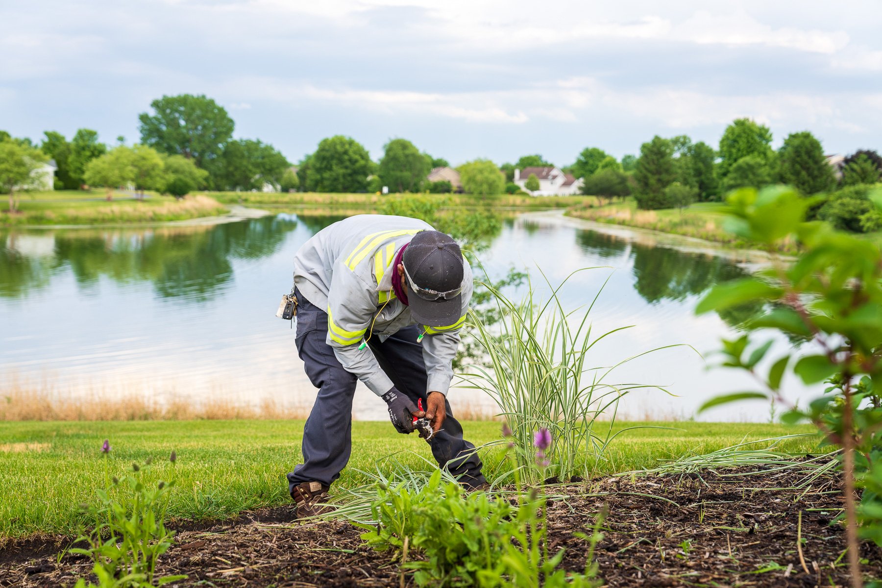 landscape maintenance crew member weeding a planting bed near a pond at a Chicago HOA