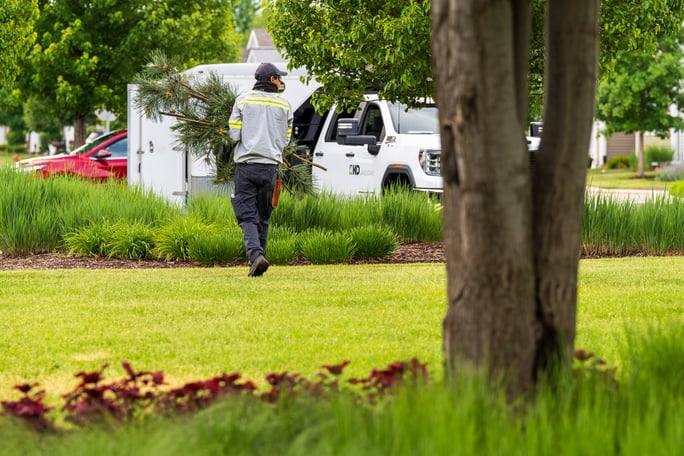 commercial maintenance technician clearing tree pruning debris at an HOA
