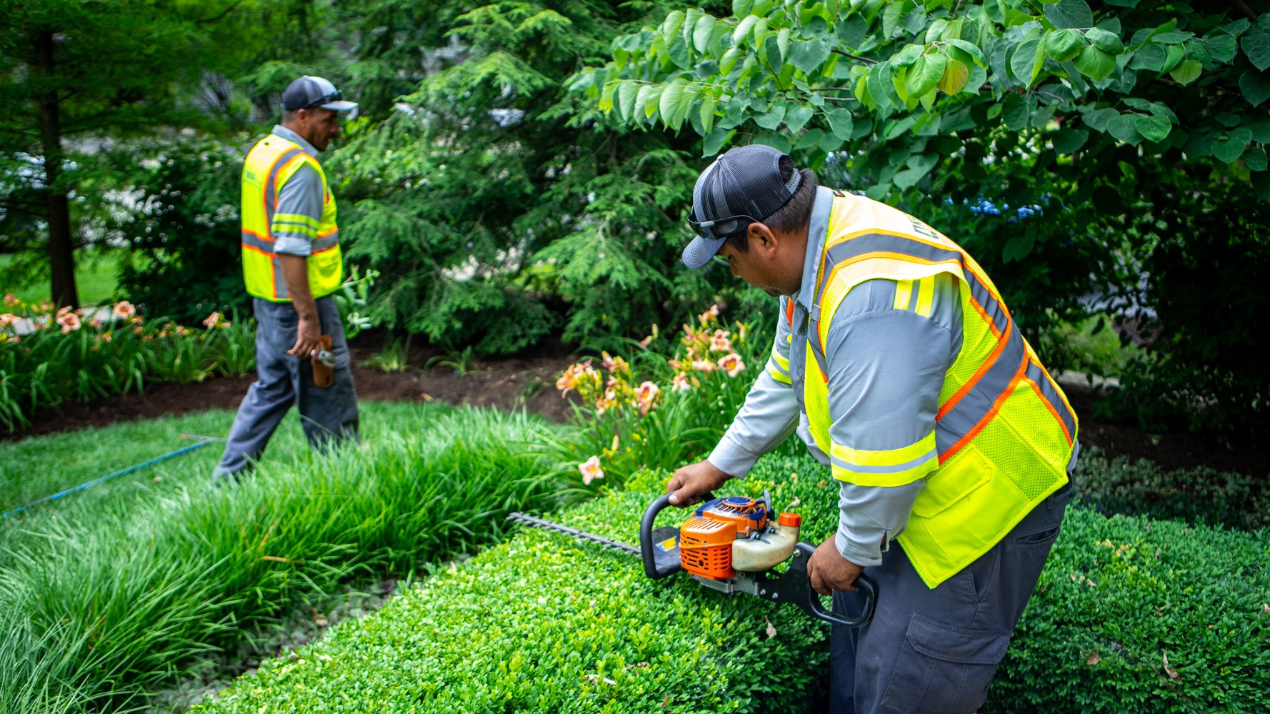 residential landscape maintenance technician trimming a boxwood hedge at a chicago landscape