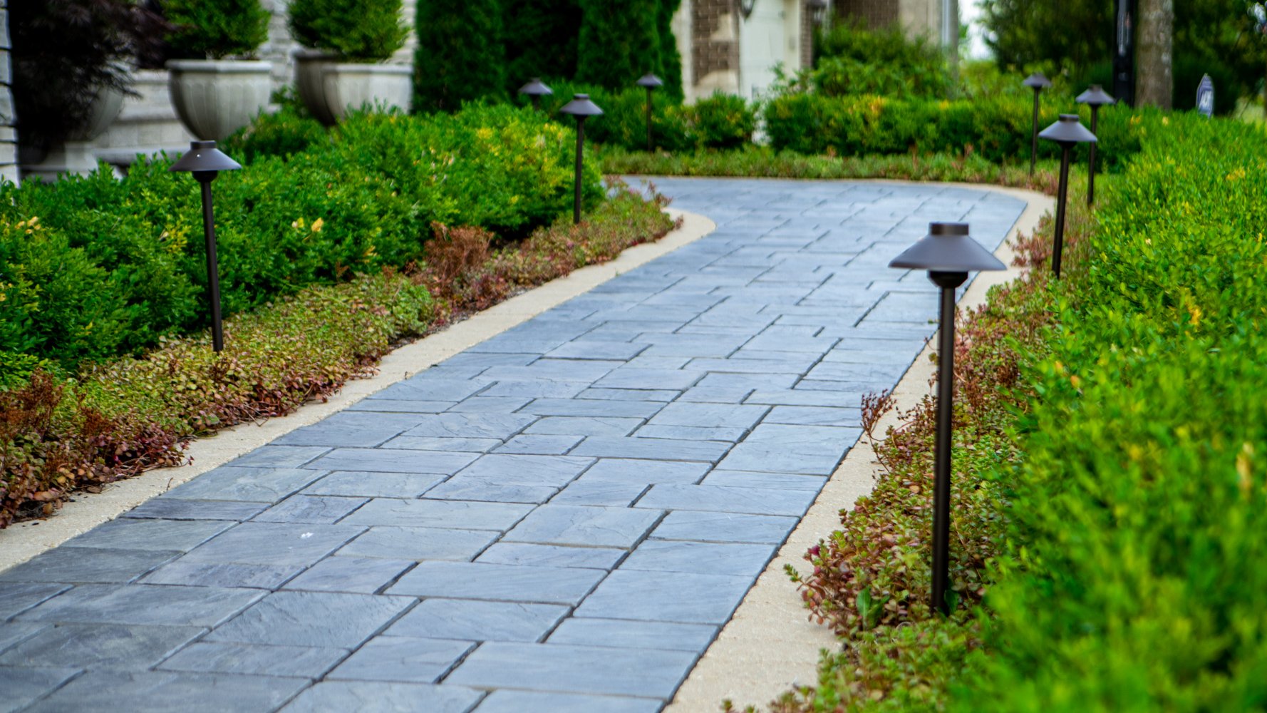 pathway with landscape lighting