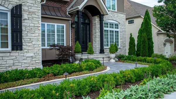 pathway-walkway-landscape lighting-container-entry-entrance-boxwood-lambs ear-japanese maple-paver