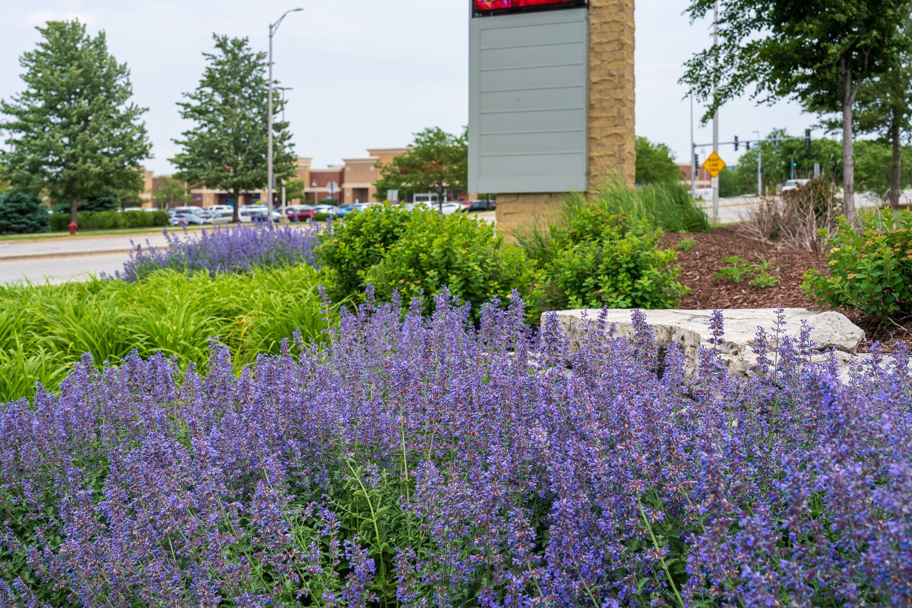 planting bed trees entrance sign pond lawn maintenance nice perennials retail 5