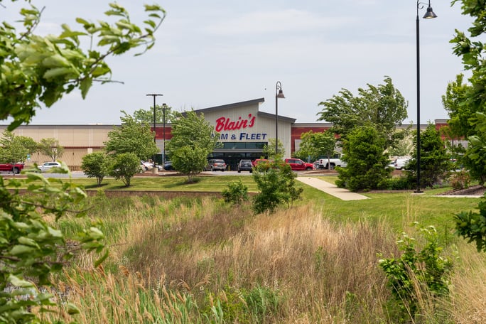 landscaping plants around retail parking lot and walkway
