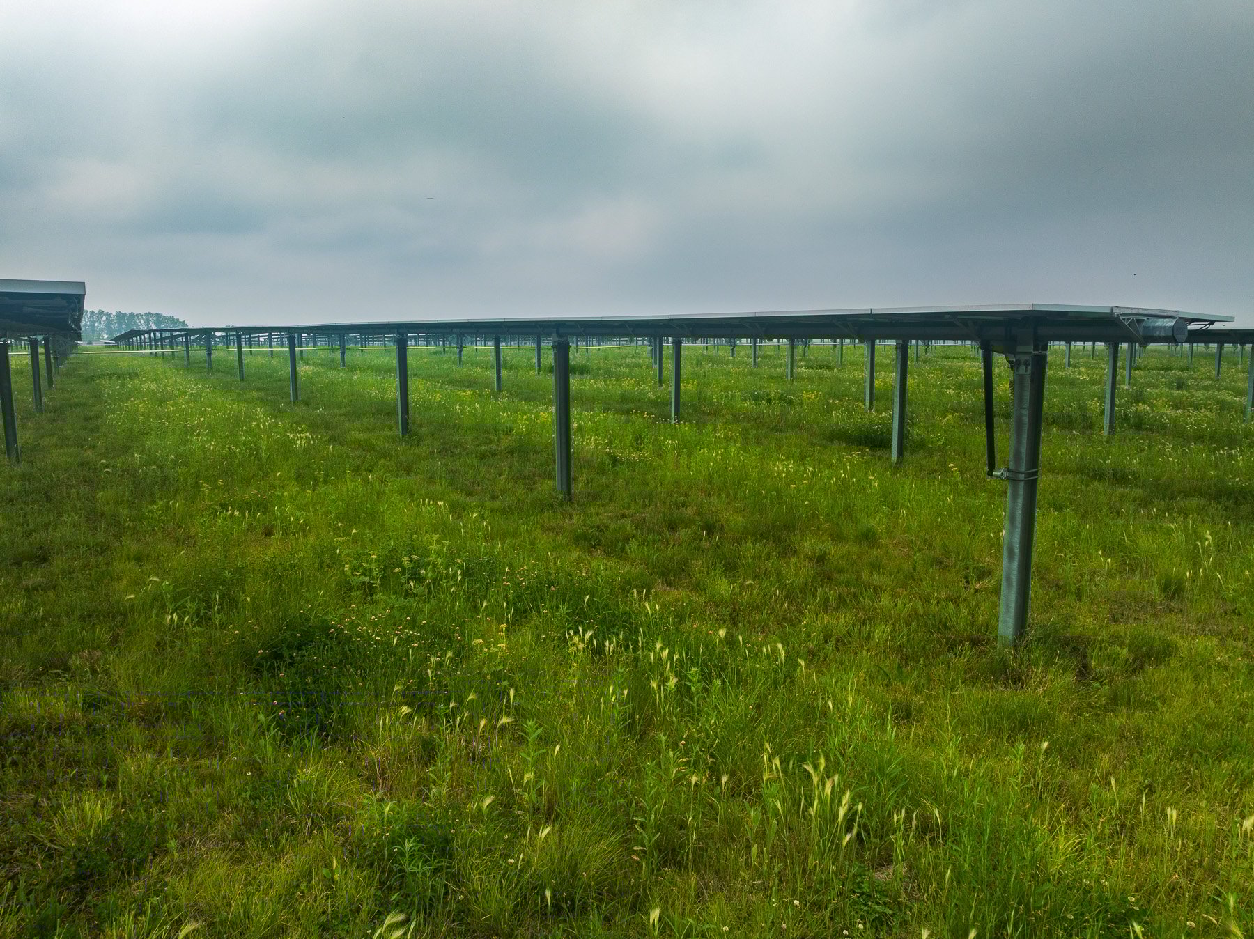 solar 2025 nice lawn maintenance mowing 4