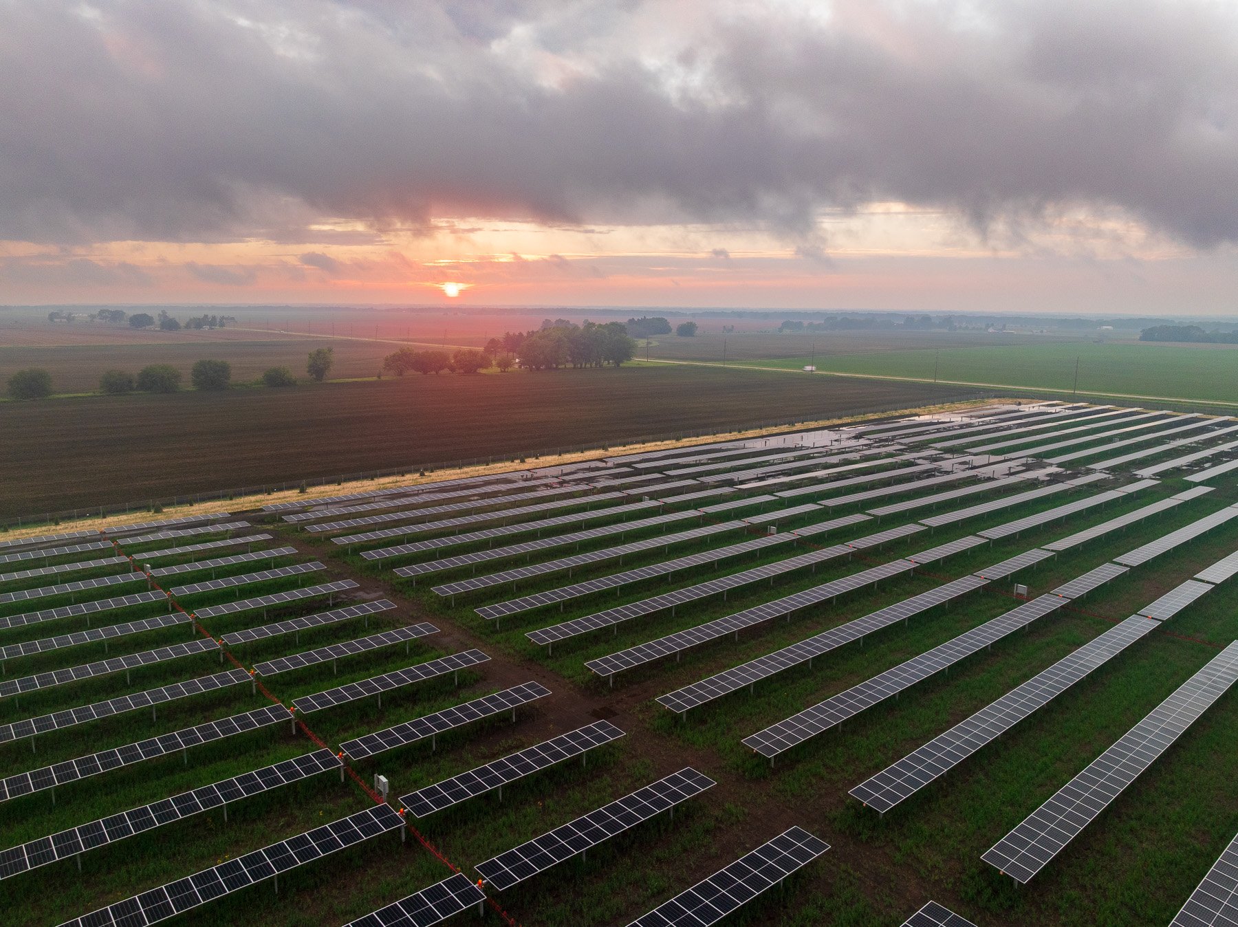solar farm maintenance aerial 2025 new plantings 10
