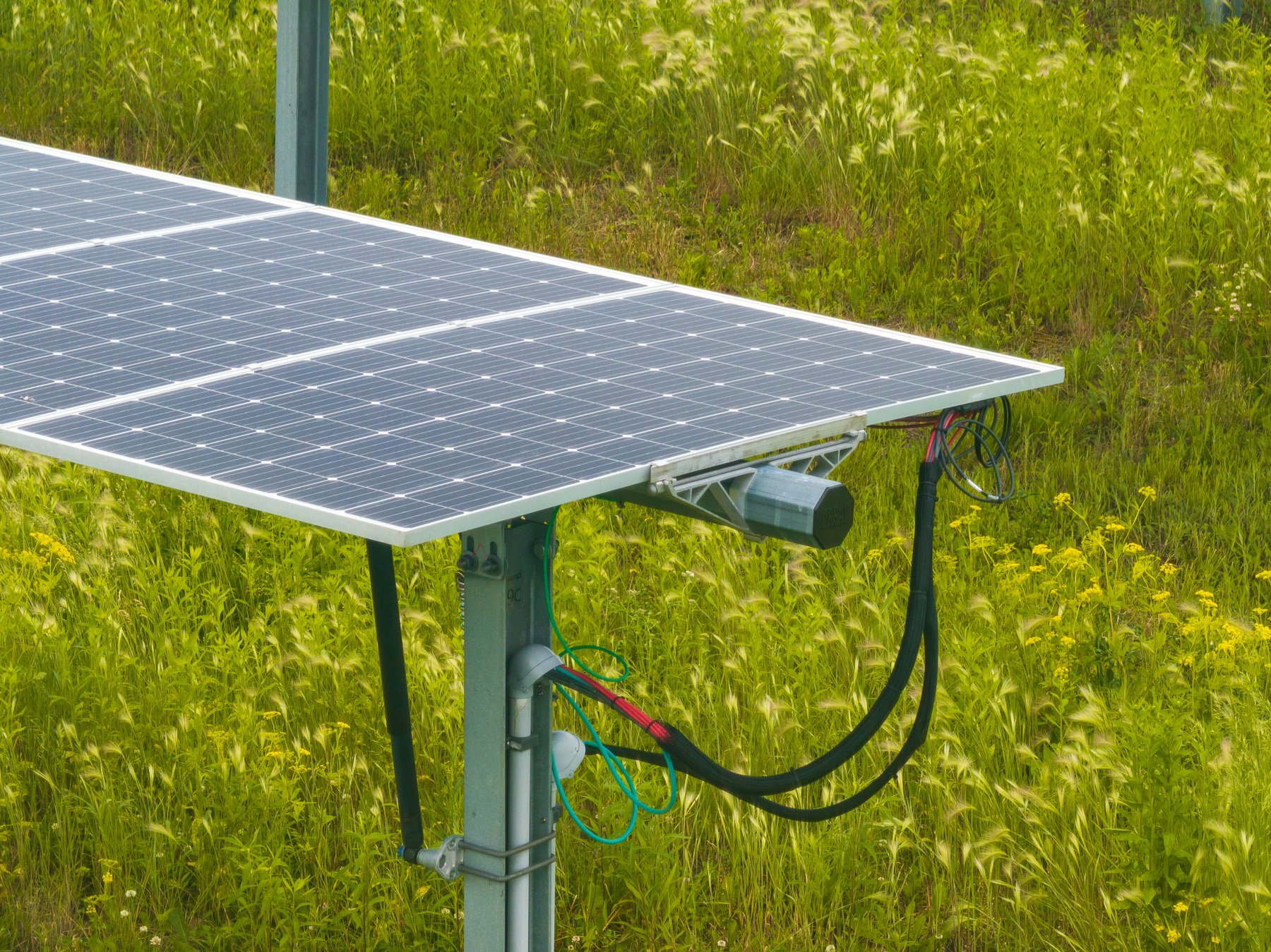 solar maintenance no mowing native plants 2