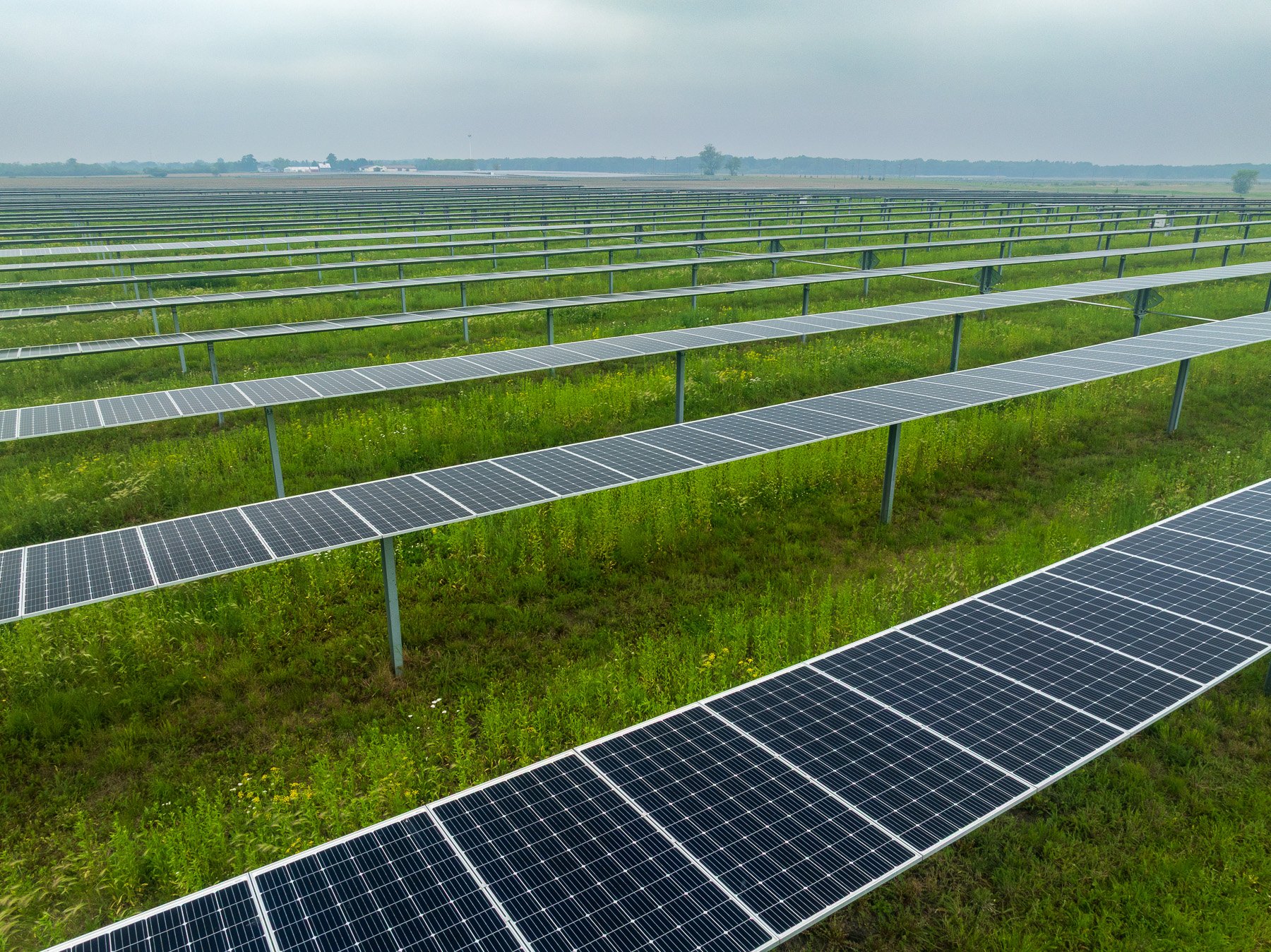 solar maintenance no mowing native plants 5