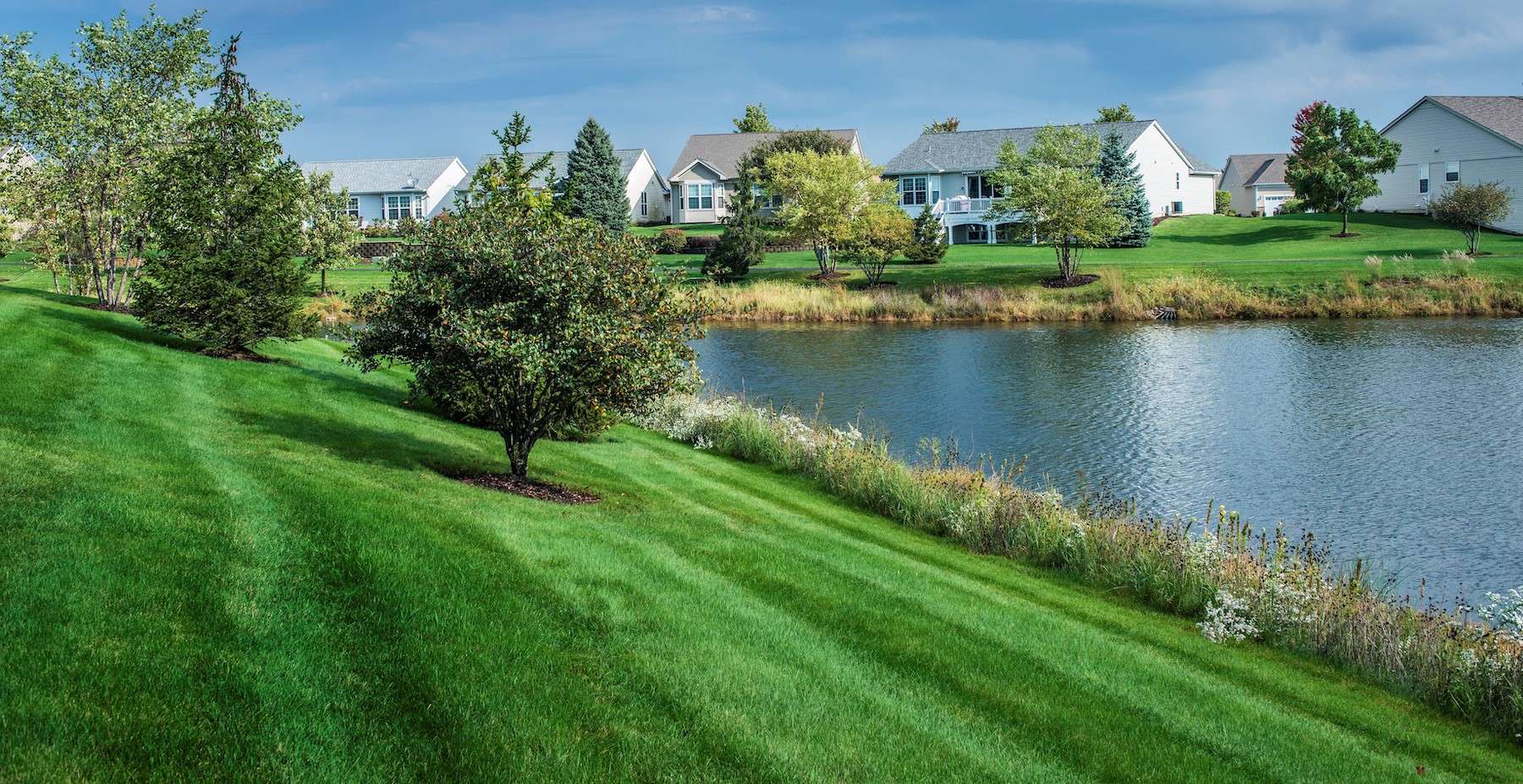 pond at a commercial landscaper property