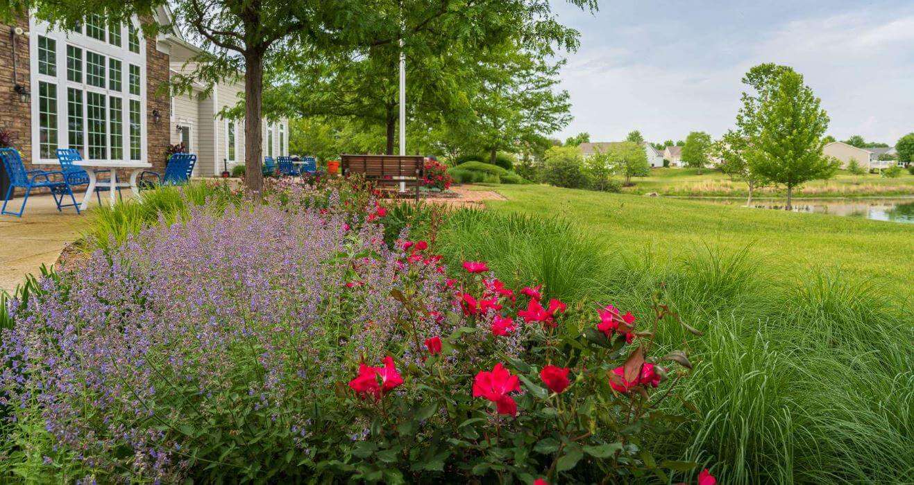 border planting bed on commercial property with annuals and perennials