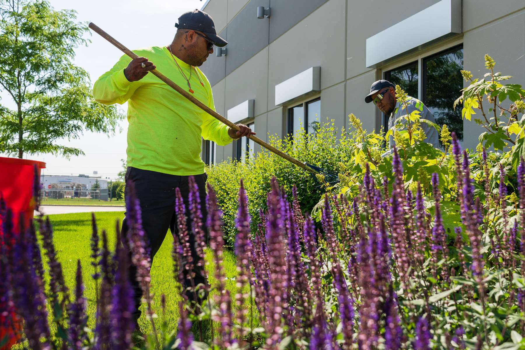 commercial maintenance technicians bed cleanup