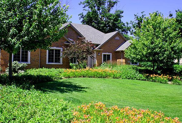 Is it Time to Update Your Landscaping? Answer These 5 Questions