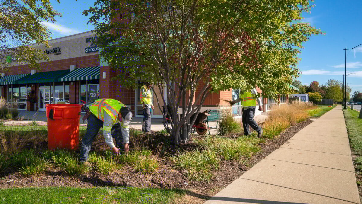 Must-Have Landscape Maintenance for Top-Tier Retail in Greater Chicago