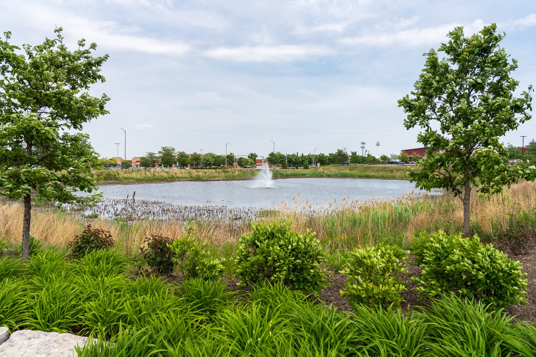 Waterway Management Basics for Large Commercial Landscapes