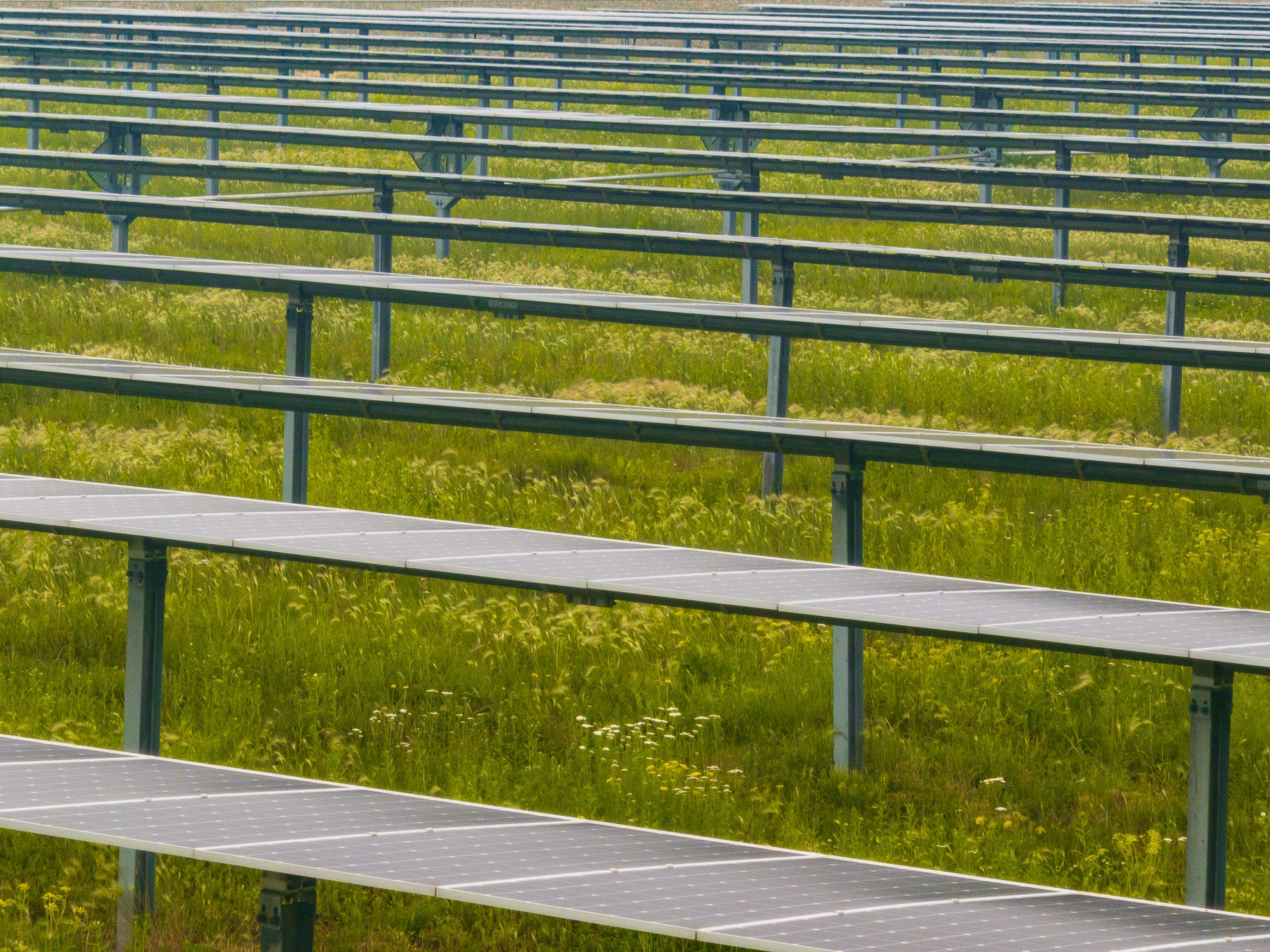 Case Study: Effective Grounds Maintenance for Solar Farm Efficiency
