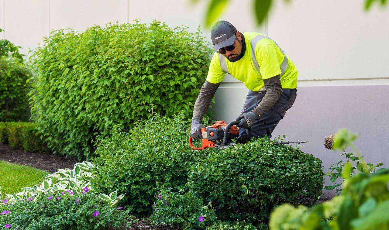 Your Weekly Commercial Landscape Maintenance Checklist for Greater Chicago
